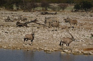 674 Namibia Okt 2006 .JPG